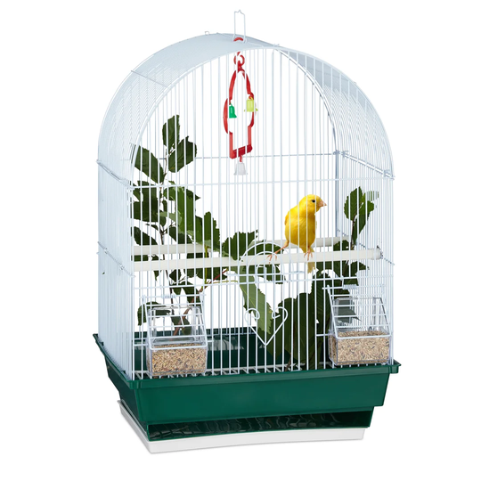 Russel Bird Cage with Accessories