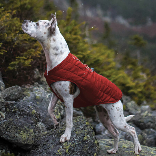 Kurgo - Loft Dog Jacket (xl) (Chilli Red/Charcoal Grey) - Chilli Red/Charcoal Grey