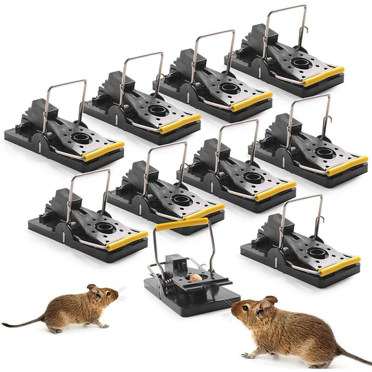 Hiasdfls - 10 Pack Mouse Trap, Reusable Mouse Trap with Powerful Spring, Powerful, Secure, Sensitive, Effective, Rat Trap for Indoor Kitchen Home