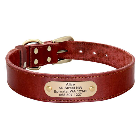 Personalized Leather Dog Collar - Laser Engraved Dog Name & Phone Number - With Personalized Name Tag for Small, Medium & Large Dogs (Brown, xs)