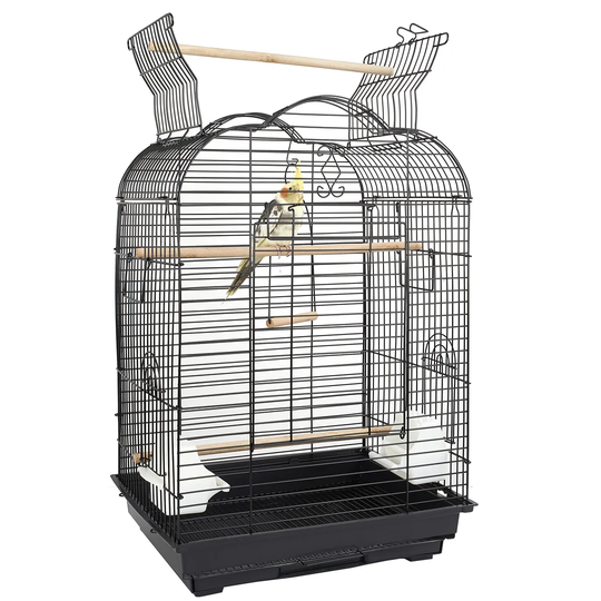 Chao Cage