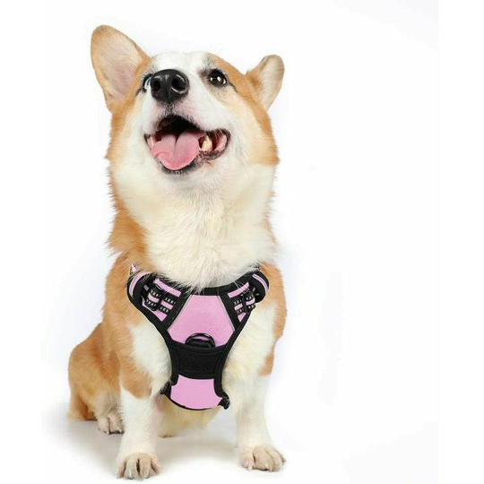 Qersta - Dog Harness Dog Harness, Anti-Pull Pet Harness with 2 Leash Clips,Adjustable Soft Padded Dog Vest, Reflective Oxford Pet Vest Outdoor with
