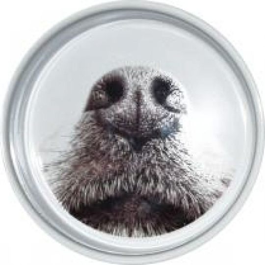 Ceramic Dog Feeding Bowl (One Size) (Silver) - Silver - Ministry Of Pets