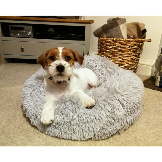 Pet Bed Dog Cat Cushion Super Soft Puppy Kitten Nest Bed, Round Plush Fabric Shaggy Warm Fluffy Nest (Grey 50cm)