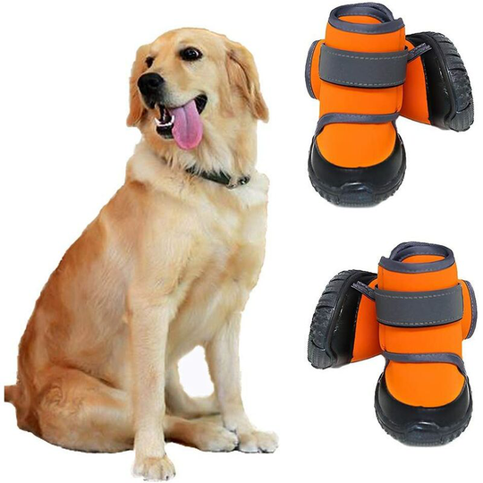 Dog Shoes Waterproof Dog Boots Snow Dog Booties Paw Protection with Non-Slip Sole, for Basset Hound, Dalmatian, Border Collie, Siberian Husky(M)