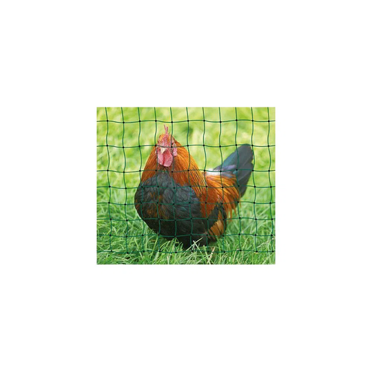 Poultry Net (50 x 1.1 m)