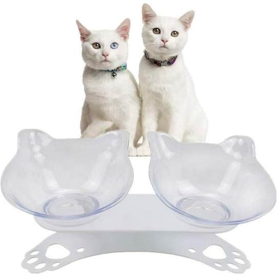 Echoo - Cat Bowl with Stand, Double Elevated Bowl for Cat and Puppy Anti-Vomiting (Transparent)