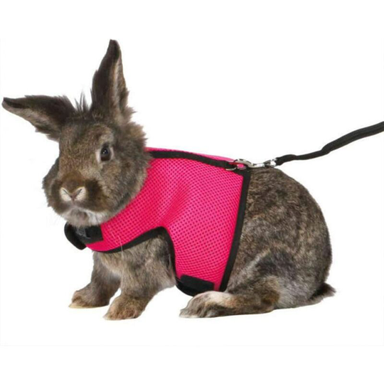 Modou - Pet Harness with Nylon Leash - Pet Vest Style - For Squirrel, Hamster, Guinea Pig, Rat, Hamster and Small Animals - Rose Red - l (Rabbit)