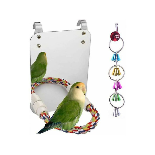 Bird Mirror Bird Toy Thsinde