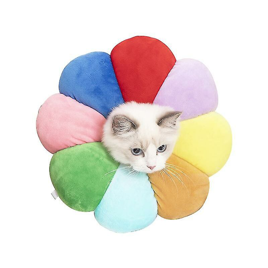 Cat and Dog Sun Flower Medical Collar Anti-bite and Anti-lick Pet Supplies Rainbow s
