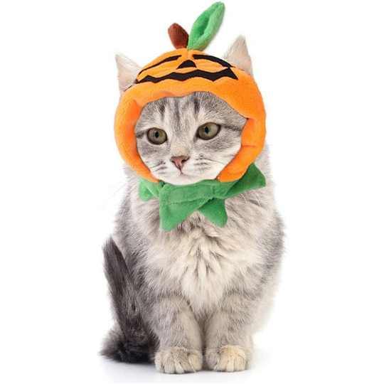 Halloween cat costume, cat pumpkin hat Cosplay costume hat for party decoration