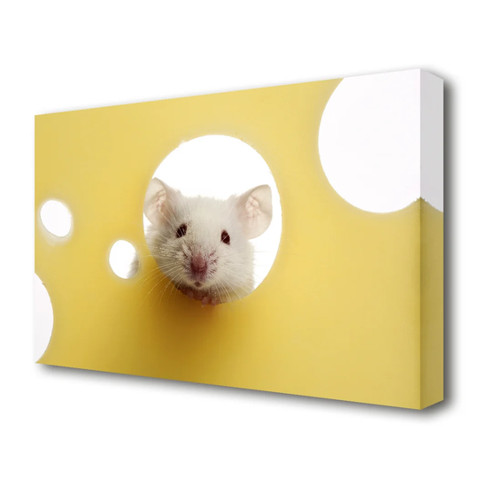 Cheesy Mouse Wildlife - Wrapped Canvas Photograph Print