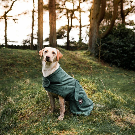Danish Design - Dog Robe Towelling - 50 Cm (20') Green