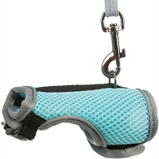 Harness for rabbits, guinea pigs, small animals with elastic leash, soft vest for walking