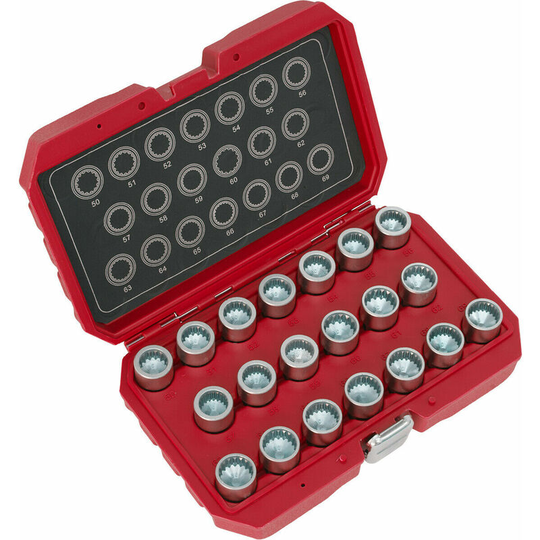 Loops - 20pc Locking Wheel Nut Key Set - dealers & repair centres only - For Porsche