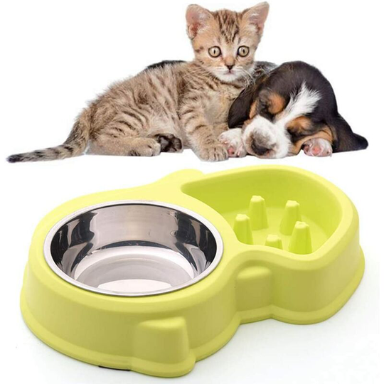 Double Water and Food Bowl 1 Stainless Steel Bowls and 1 Anti Glutton Bowl for Cats and Small Dogs (Green)