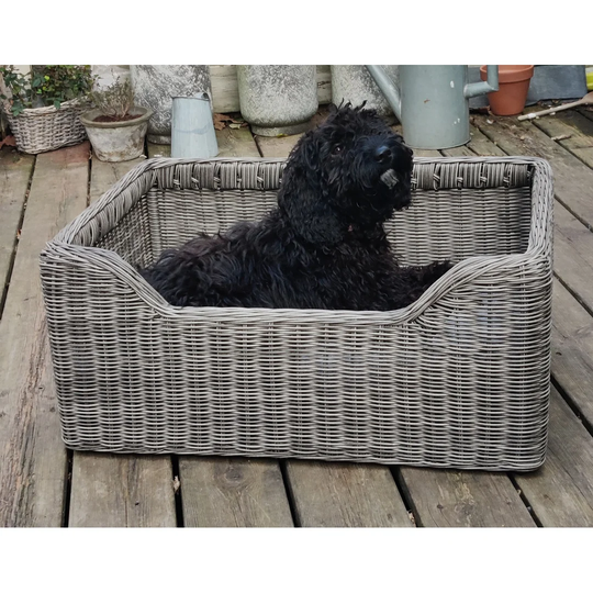 Evesham Dog Sofa