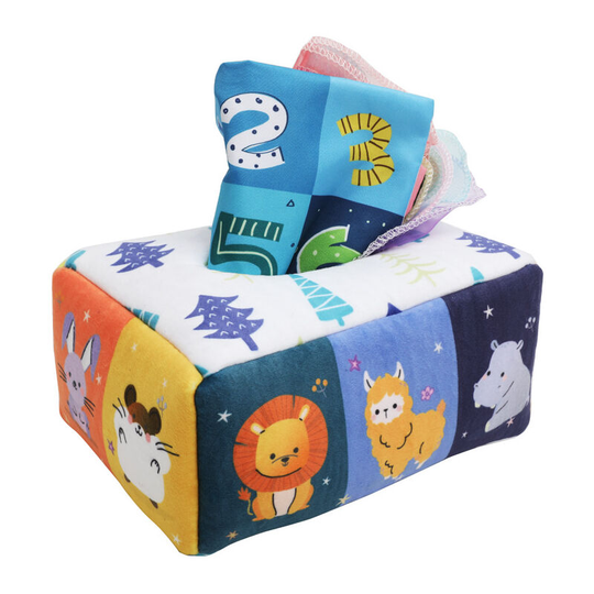 Baby Tissue Box Toys for Babies 6-12 Months with Tummy Time 0-6 Months Mat, Montessori Baby Sensory Tissue Box Infant Newborn Baby Toys 12-18 Months,