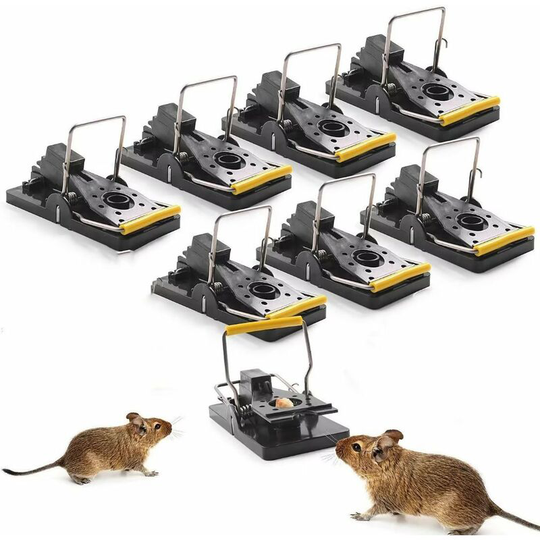 Perle Rare - 8 Pack Mouse Traps, Reusable Mouse Traps with Powerful Spring, Powerful, Safe, Sensitive, Effective, Mouse Traps for Indoor, Kitchen,