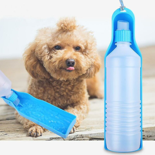 Blue dog water bottle