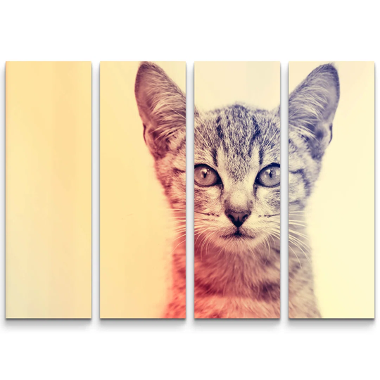 Kitten Portrait Photographic Print Multi-Piece Image on Canvas