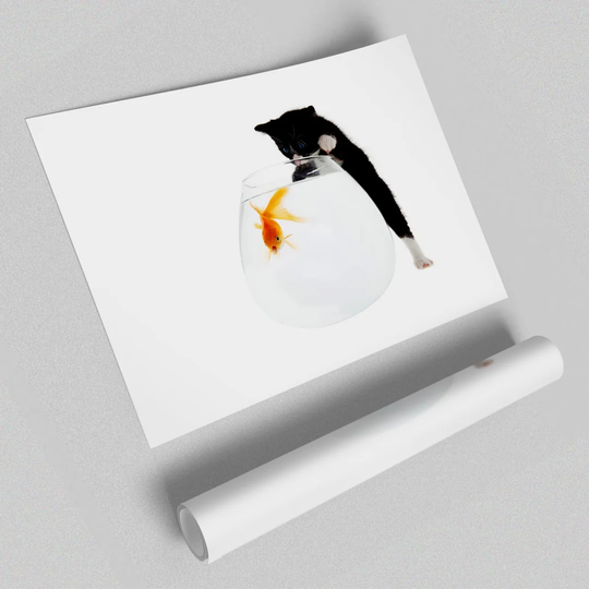 Kitten Fish Bowl - Graphic Art Print on Paper