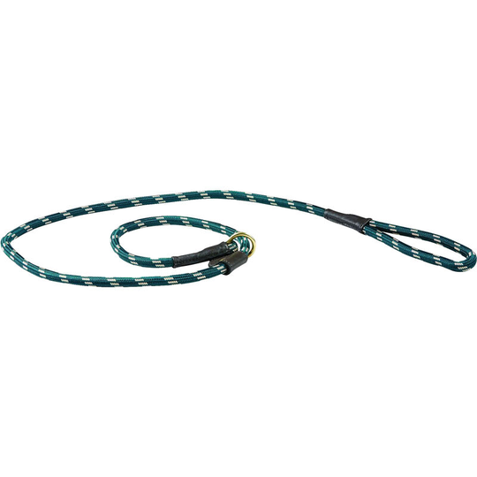 Rope Leather Slip Dog Lead (1.8m) (Hunter Green/Brown) - Hunter Green/Brown - Weatherbeeta