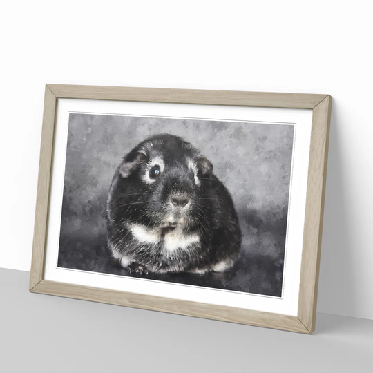 Guinea Pig - Picture Frame Graphic Art