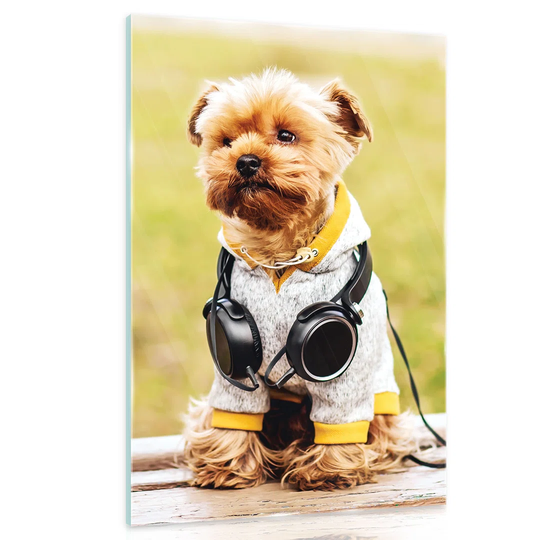 'Puppy with Headphones' - Photograph Print on Glass