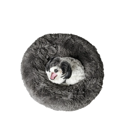 Letitia Doughnut