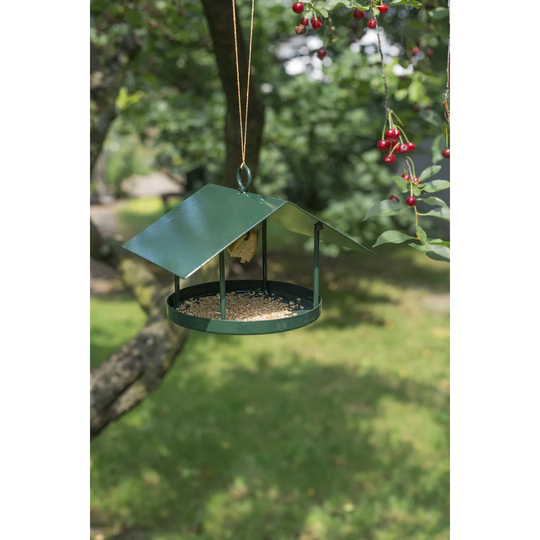 Acoff Tray Bird Feeder