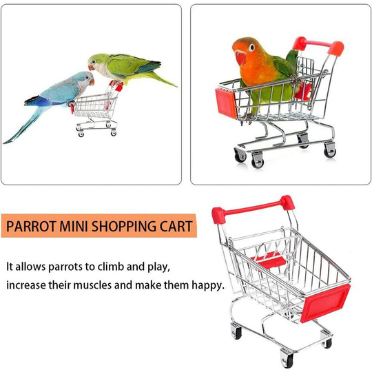 FVO - Parrot Toy 10pcs Parrot Skateboard Trolley Bell Ball Ferrule Bird Toy Educational Training Toy Parrot Training Toy for Parakeet, Cockatoo,