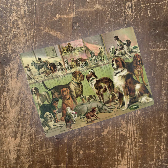 Dogs Kennel Club Pets Wall Décor