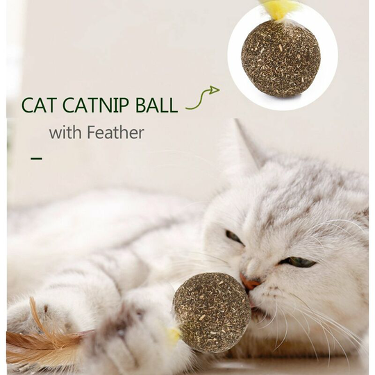 Natural Catnip Mint Cat Ball Cat Feather Treat Ball Toy Cat Scratcher Ball Motion Activated Teeth Cleaning Grinding Playing Chasing Chew Claw Toy