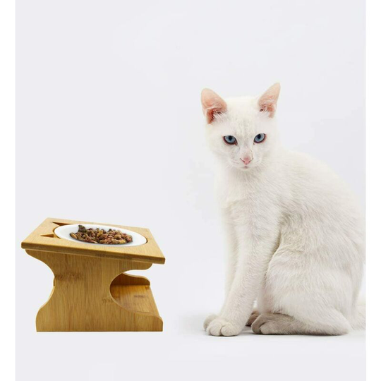 Tall Cat and Puppy Bowl Tilted Bowl for Cat and Dog with Wooden Stand
