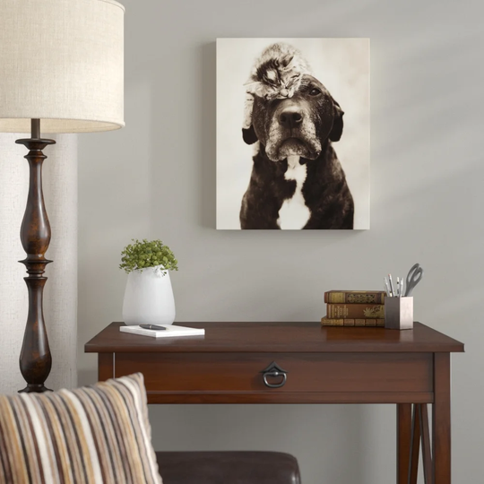 Loki's Kitten Photographic Print on Canvas