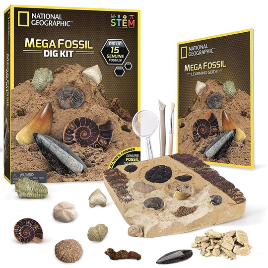 National Geographic Mega Fossil Dig Kit - Excavate 15 Real Fossils Including Dinosaur Bones, Educational Toys, Great Gift for Girls and Boys