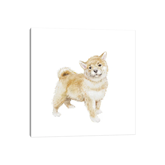 Shiba Inu Puppy by Wandering Laur - Wrapped Canvas Painting