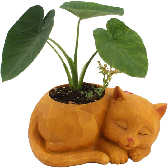 Briday - Novelty Lazy Cat Flowerpot Innovative Cat Succulent Planter Decorative Animal Flower Pot Mini Ceramic Cartoon Grass Plant Pot box without