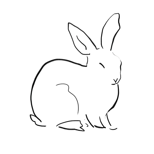 Line Drawing Bunny - Wrapped Canvas Graphic Art