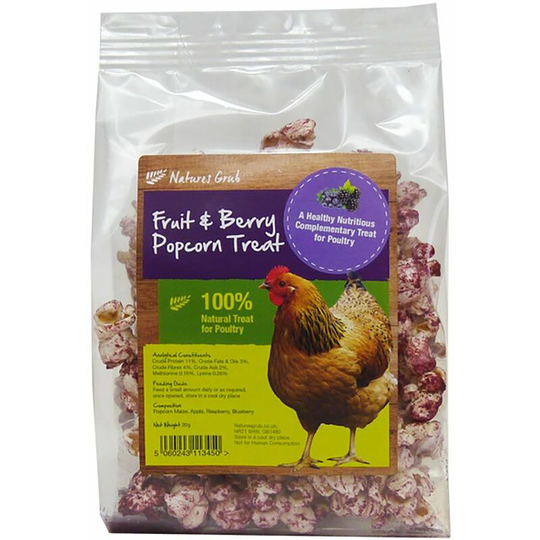 Natures Grub Fruit & Berry Popcorn Treat - 20 Gm