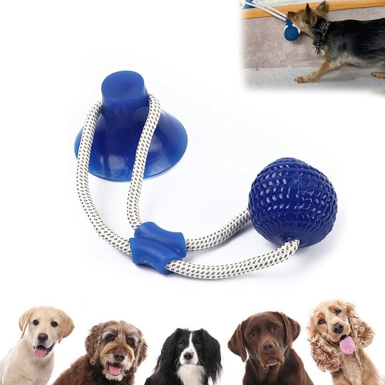 Aougo - Dog Toy with Suction Cup, Dog Suction Cup Toy, Dog Suction Cup Toy, Dog Ball with Suction Cup, Multifunction Pet Dog Molar, Pet Toys, Molar