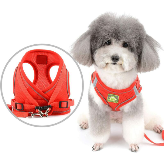 Dog Harness and Leash for Small Dogs Puppy Soft Mesh Adjustable Reflective Chest Harness Anti-Escape Cat Harness for Puppy Chihuahua Girls and Boys