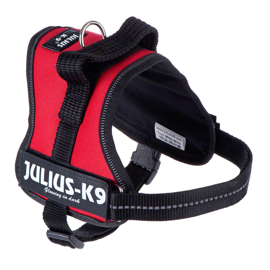 JULIUS-K9® Power Harness - Red - Mini
