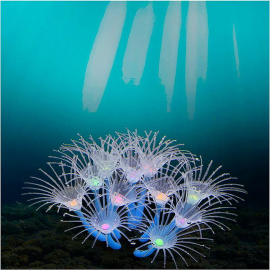 Morejieka - Decoration for Aquarium Light, Artificial Plants Ornament for Fish Tank, Ornate Reef Corals Decoration, Accessories Silicone Bright (Blue)