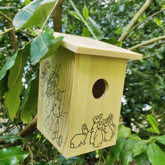 Peter Rabbit Hanging Bird House