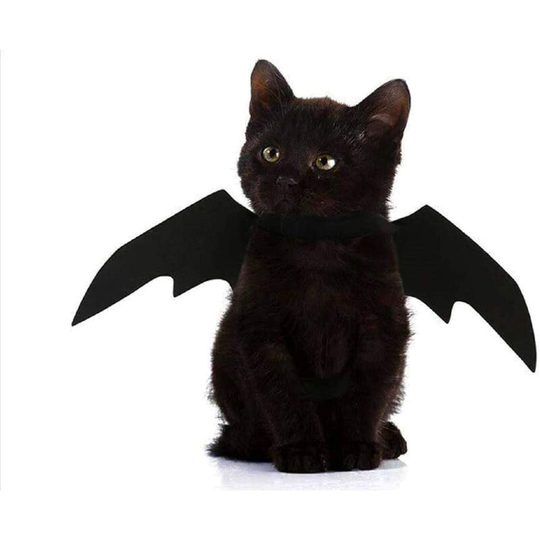 Soekavia - Pet Cat Bat Wings for Halloween Party Decoration, Puppy Collar Leads Cosplay Bat Costume, Cute Puppy Cat Dress Up Clothes