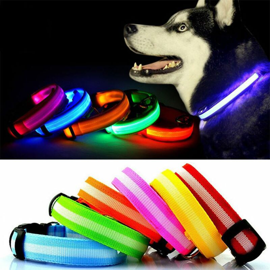 Adjustable led Flashing Light Safety Luminous Dog Puppy Pet Glowing Collar - Green - Large - Bunty