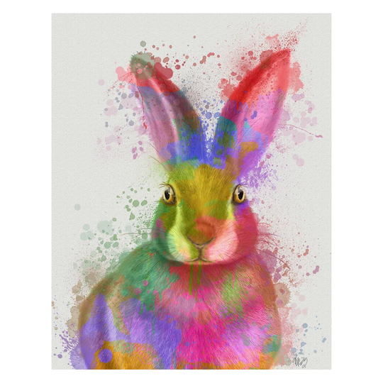 Rabbit Rainbow Splash 3 - Unframed Graphic Art Print on Paper