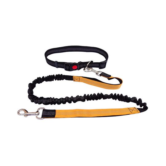 Hands Free Dog Leash Adjustable Belt for Running, Hiking, Hiking, Medium and Large Dogs (Orange) - Muff